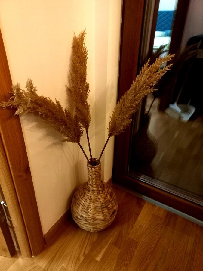 Zlatibor Apartman Luxury & Spa Dijana Exterior foto